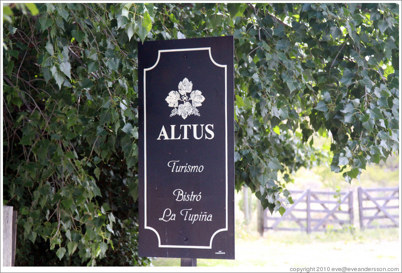 Sign, Bodega Altus, Valle de Uco.