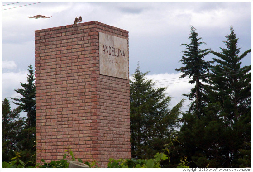 Sign, Andeluna Cellars, Valle de Uco.