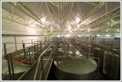 Tanks, Andeluna Cellars, Valle de Uco.