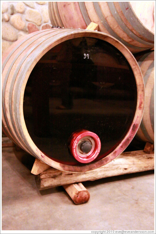 Barrel with transparent face, showing the opacity of the wine, Domaine Jean Bousquet, Valle de Uco.