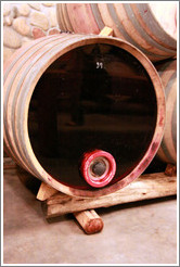 Barrel with transparent face, showing the opacity of the wine, Domaine Jean Bousquet, Valle de Uco.