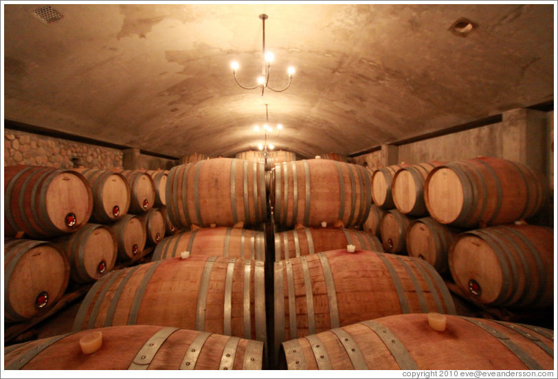 Barrels, Domaine Jean Bousquet, Valle de Uco.