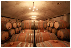 Barrels, Domaine Jean Bousquet, Valle de Uco.