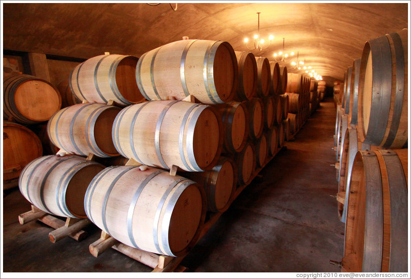 Barrels, Domaine Jean Bousquet, Valle de Uco.