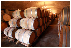 Barrels, Domaine Jean Bousquet, Valle de Uco.