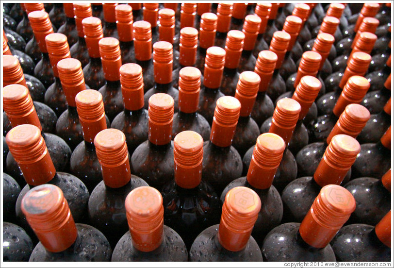 Bottles, Domaine Jean Bousquet, Valle de Uco.