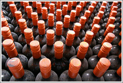 Bottles, Domaine Jean Bousquet, Valle de Uco.
