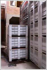 Harvesting boxes, Domaine Jean Bousquet, Valle de Uco.