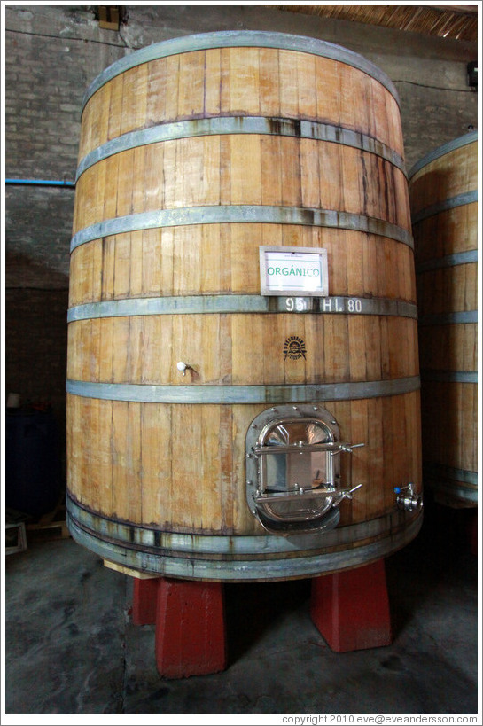 Large barrel labeled "Organic Wine", Domaine Jean Bousquet, Valle de Uco.