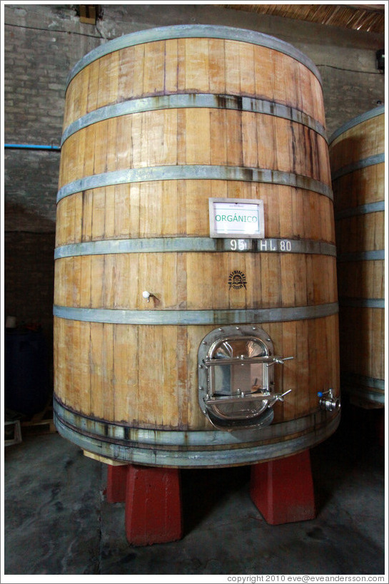 Large barrel labeled "Organic Wine", Domaine Jean Bousquet, Valle de Uco.