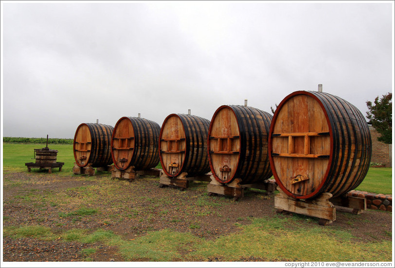 Large barrels, Domaine Jean Bousquet, Valle de Uco.