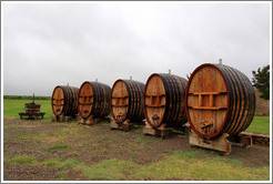 Large barrels, Domaine Jean Bousquet, Valle de Uco.