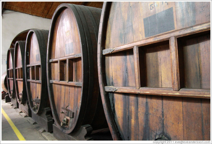 Large barrels. Bodega El Esteco.