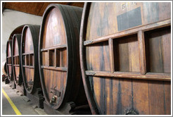 Large barrels. Bodega El Esteco.