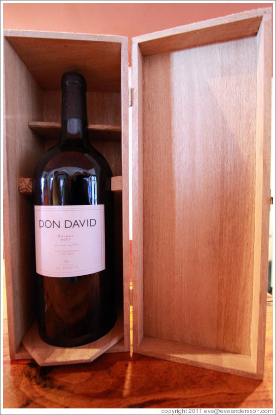 Bottle of 2007 Don David Malbec. Bodega El Esteco.