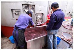 Workers surrounding a vat of wine must. Bodega El Esteco.