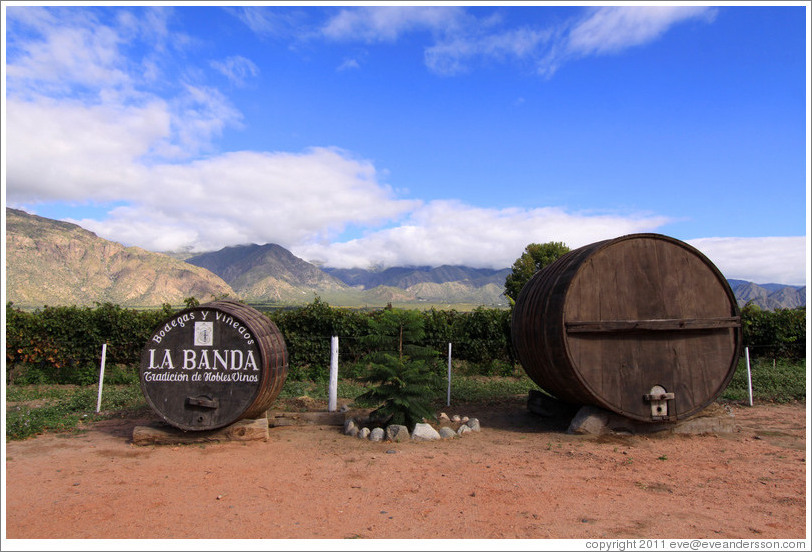 Decorative barrels. Bodega La Banda.