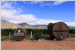 Decorative barrels. Bodega La Banda.