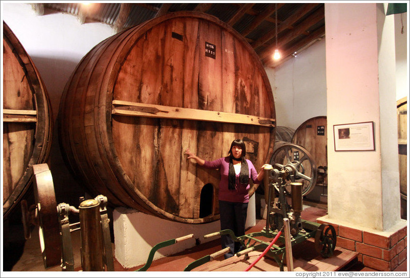 Guide and large barrel. Museum of Bodega La Banda.