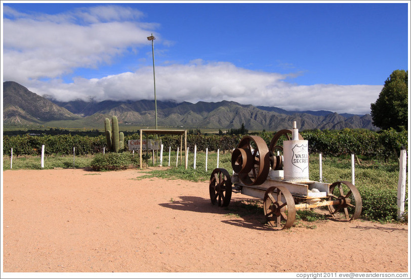 Old equipment. Bodega La Banda.