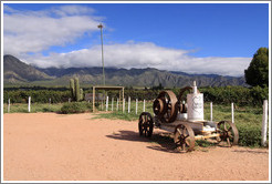 Old equipment. Bodega La Banda.