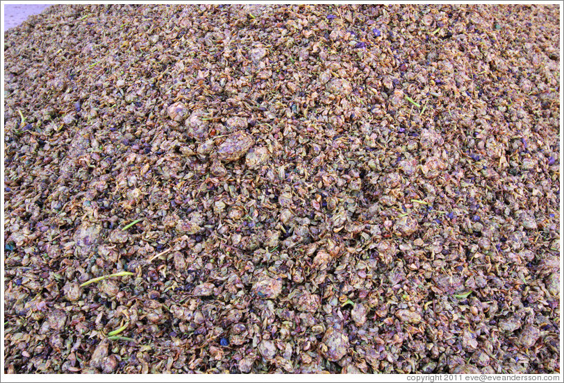 Grape pomace. Bodega Tierra Colorada.