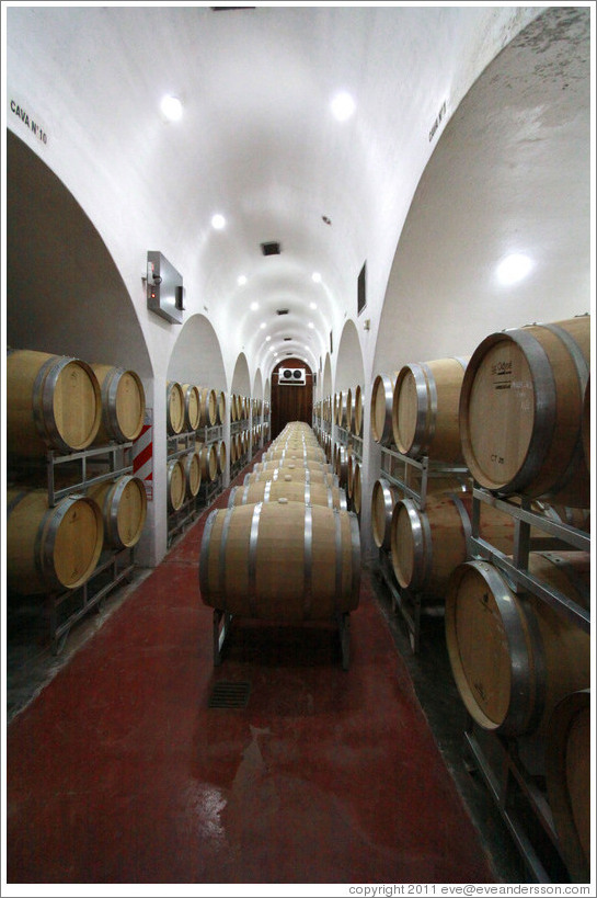 Barrels. Bodegas Etchart.