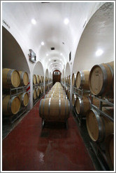 Barrels. Bodegas Etchart.