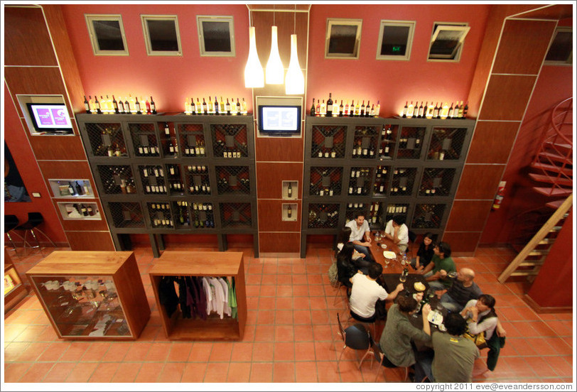 Wine bar. Museo de la Vid y el Vino (Museum of Vine and Wine).
