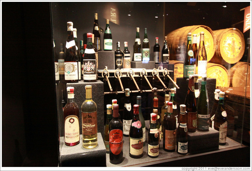 Old bottles of wine. Museo de la Vid y el Vino (Museum of Vine and Wine).