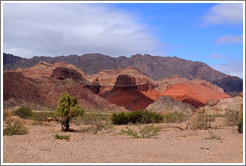 Quebrada de las Conchas.