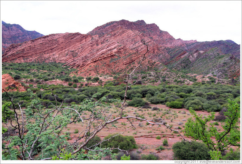 Quebrada de las Conchas.