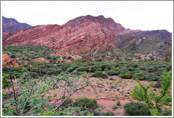 Quebrada de las Conchas.