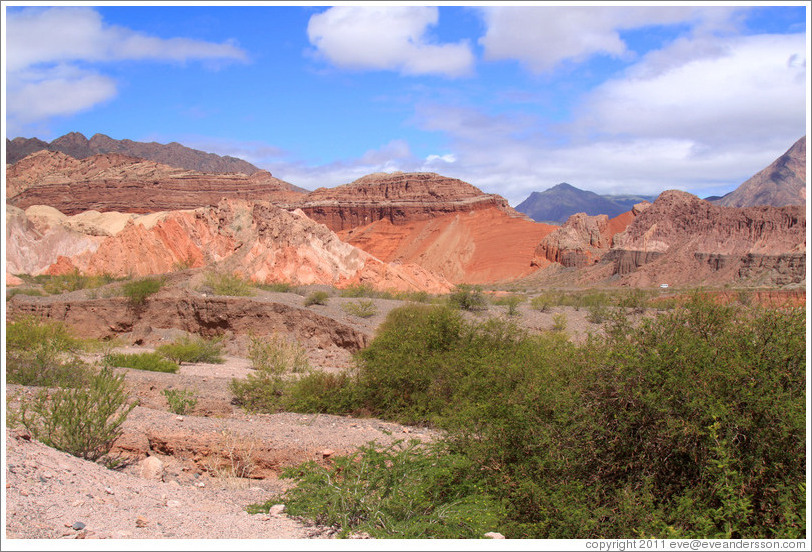 Quebrada de las Conchas.