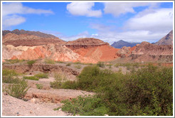 Quebrada de las Conchas.