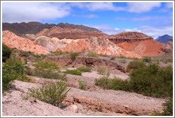 Quebrada de las Conchas.