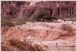 Road, part of which had sheared off due to a mudslide. Quebrada de las Conchas.