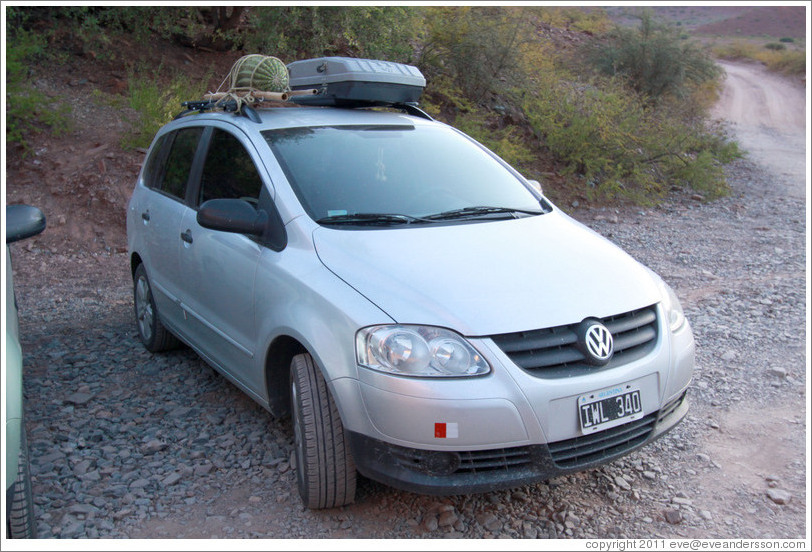 Car with a cactus affixed to the top. Quebrada de las Conchas.