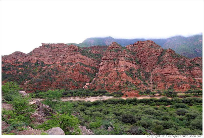 Quebrada de las Conchas.