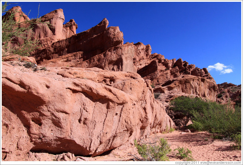 Los Colorados. Quebrada de las Conchas.