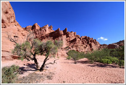 Los Colorados. Quebrada de las Conchas.