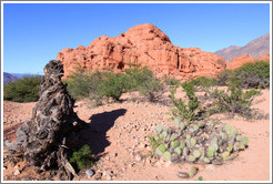 Los Colorados. Quebrada de las Conchas.