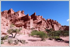 Los Colorados. Quebrada de las Conchas.