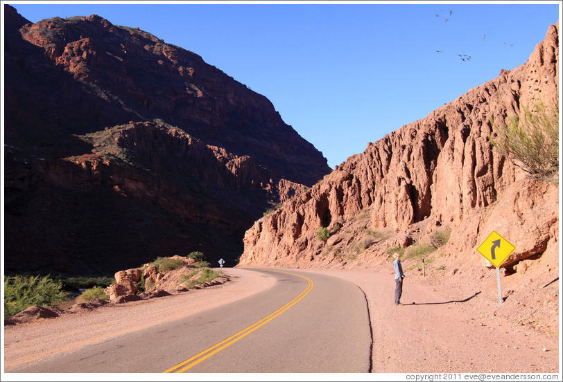 Road through Quebrada de las Conchas.