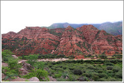 Quebrada de las Conchas.