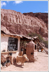 Place selling vino patero (foot-pressed wine), in the Quebrada de las Conchas.