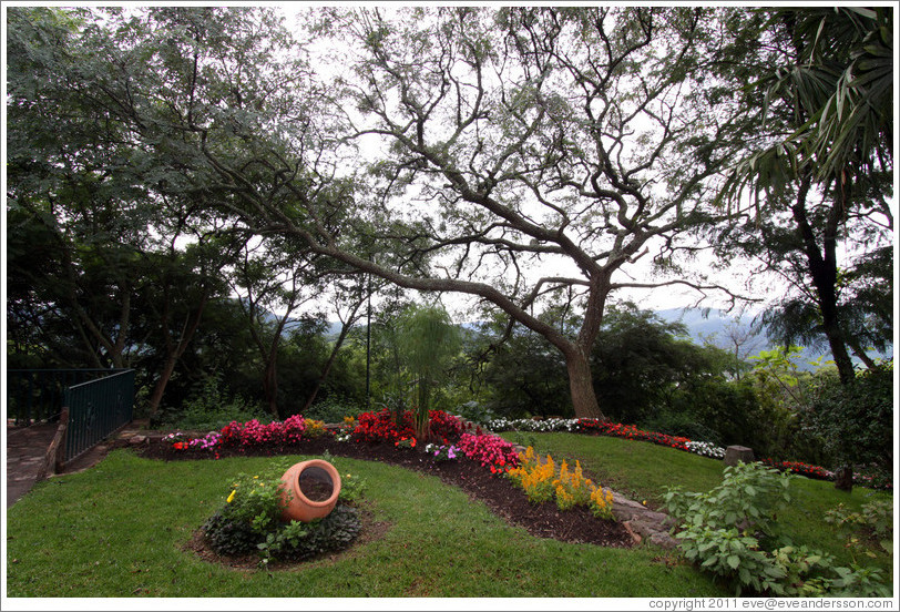 Flowers. Cerro San Bernardo.