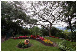 Flowers. Cerro San Bernardo.