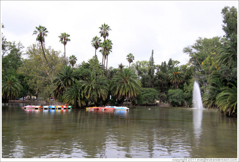 Lake. Parque San Mart?