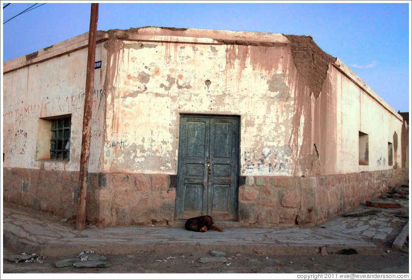 Dog sleeping in front of a doorway.